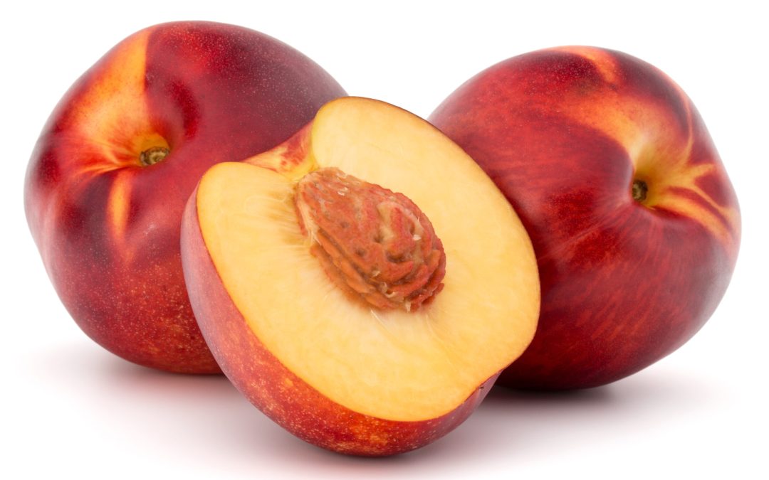 Week 14 – Nectarine