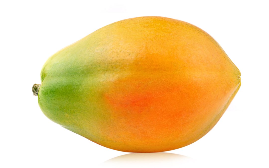 Week 22 – Papaya