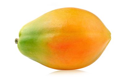Week 22 – Papaya