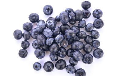 Week 7 – Blueberry