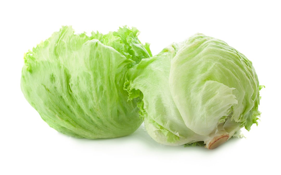 Green Iceberg lettuce on White Background