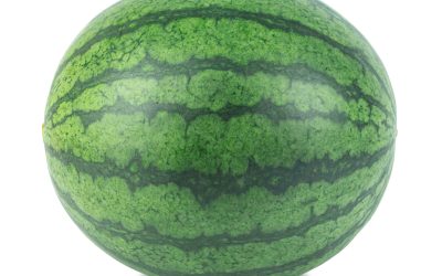 Week 40 – Watermelon