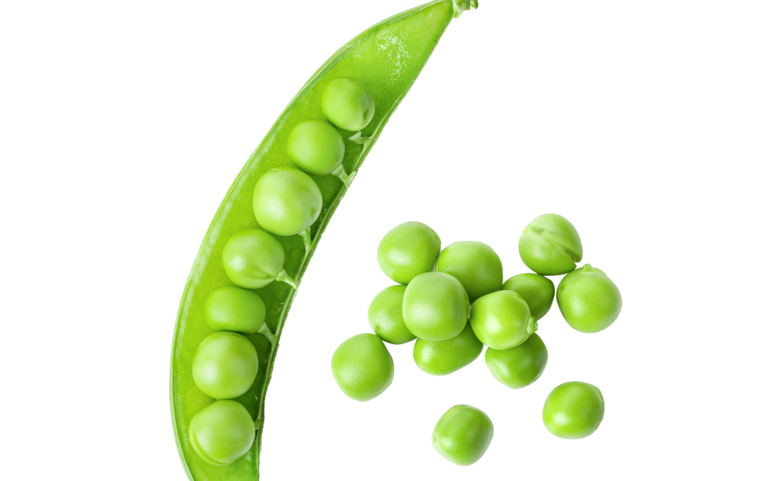 Week 6 – Sweet Pea