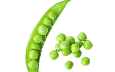 Week 6 – Sweet Pea