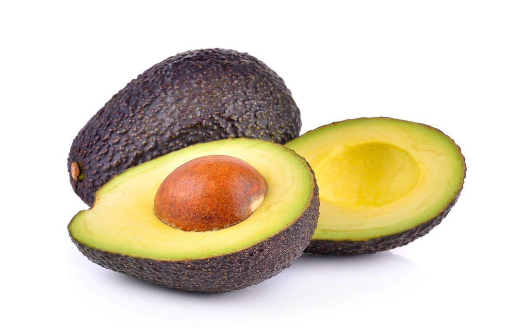 avocado on white background